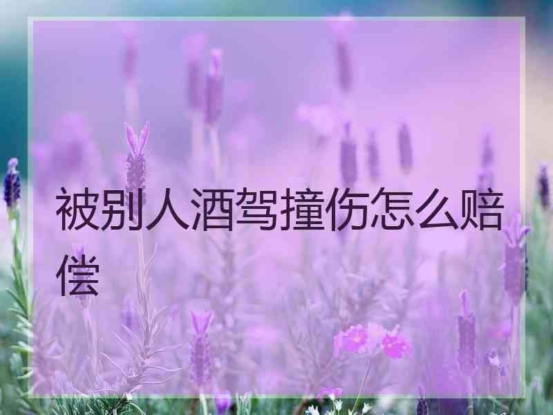 被别人酒驾撞伤怎么赔偿