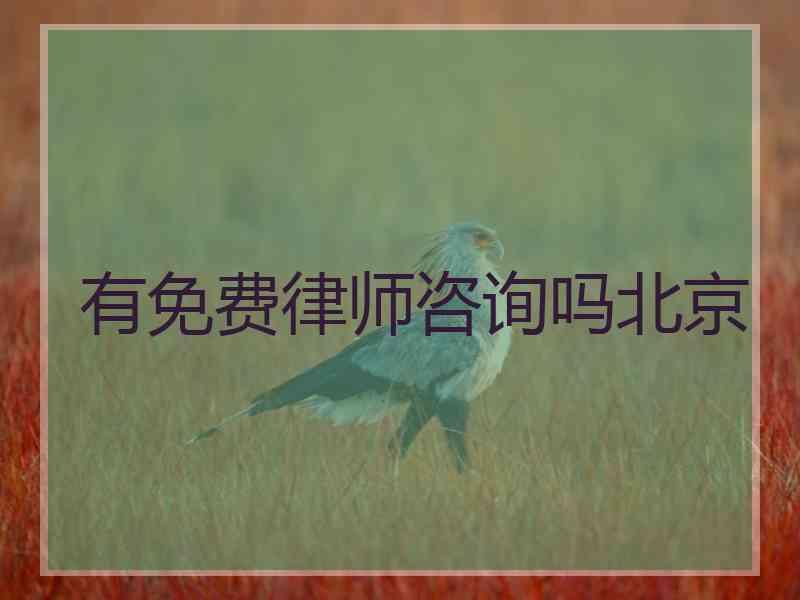 有免费律师咨询吗北京