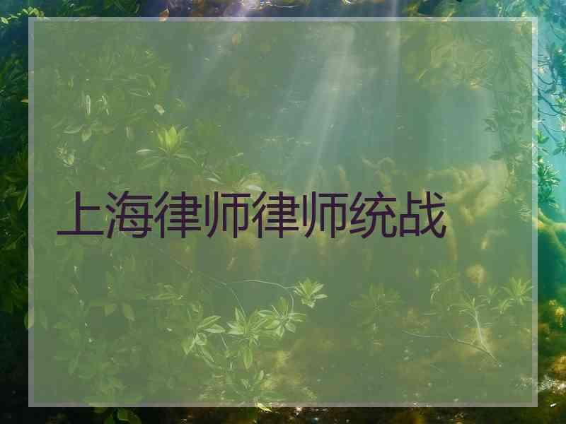 上海律师律师统战