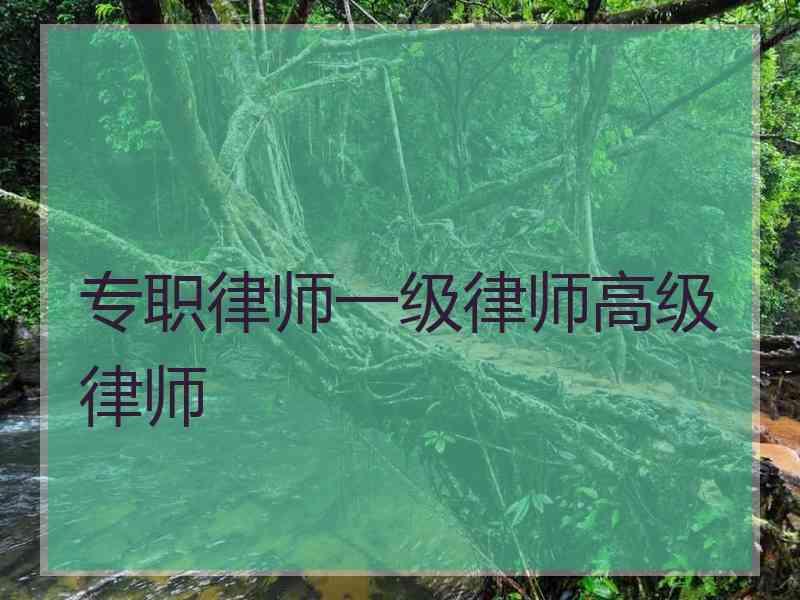 专职律师一级律师高级律师