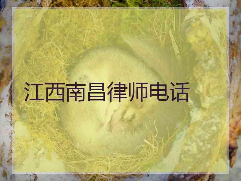 江西南昌律师电话