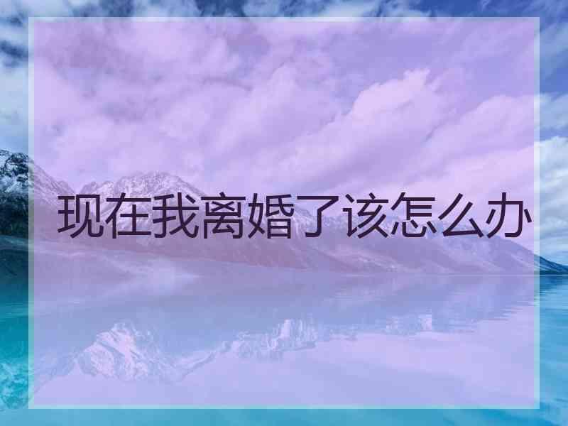 现在我离婚了该怎么办