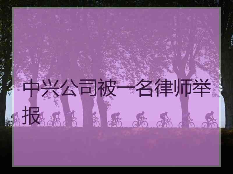 中兴公司被一名律师举报