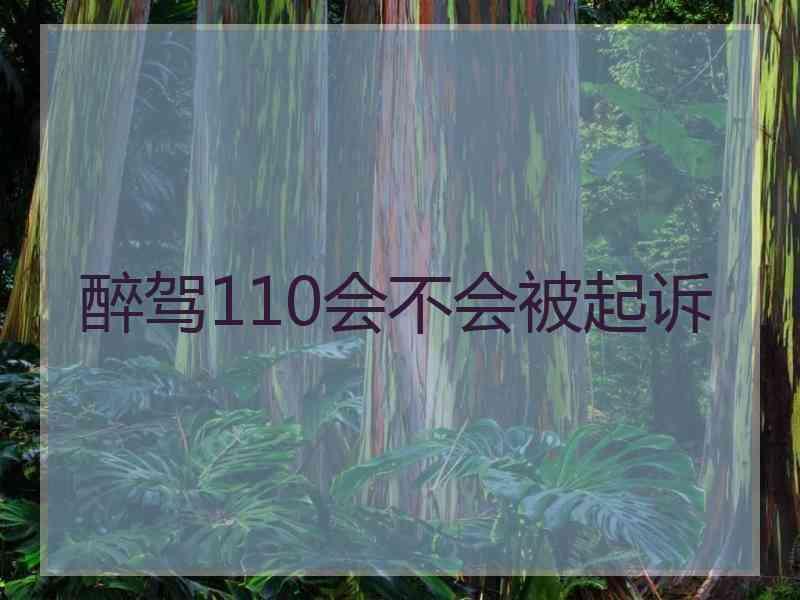 醉驾110会不会被起诉