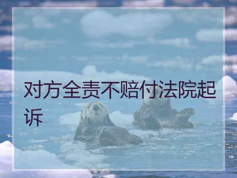对方全责不赔付法院起诉