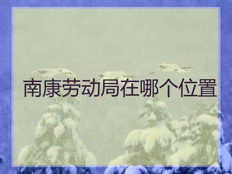 南康劳动局在哪个位置