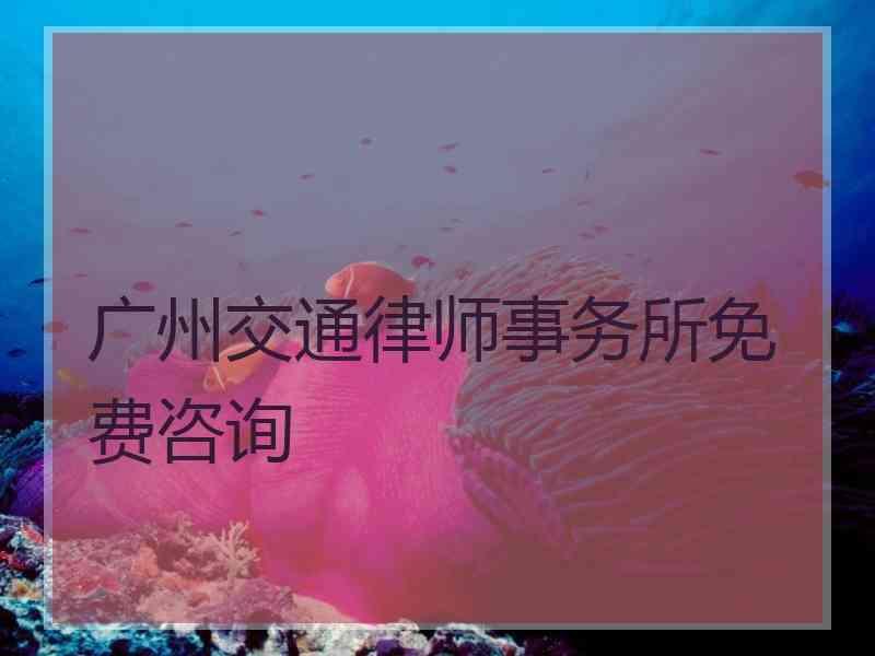 广州交通律师事务所免费咨询