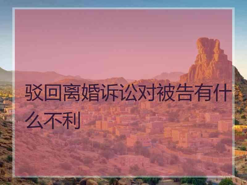 驳回离婚诉讼对被告有什么不利