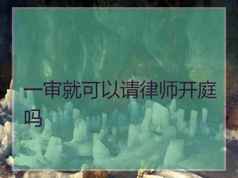 一审就可以请律师开庭吗