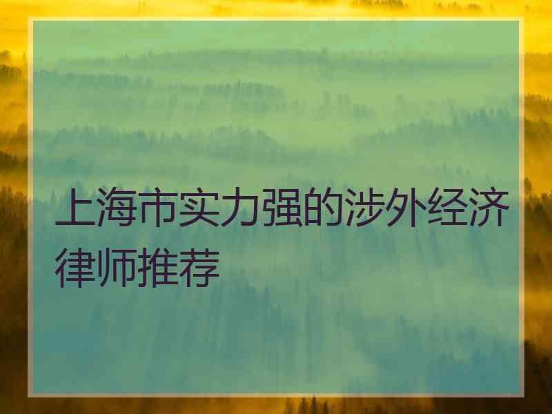 上海市实力强的涉外经济律师推荐