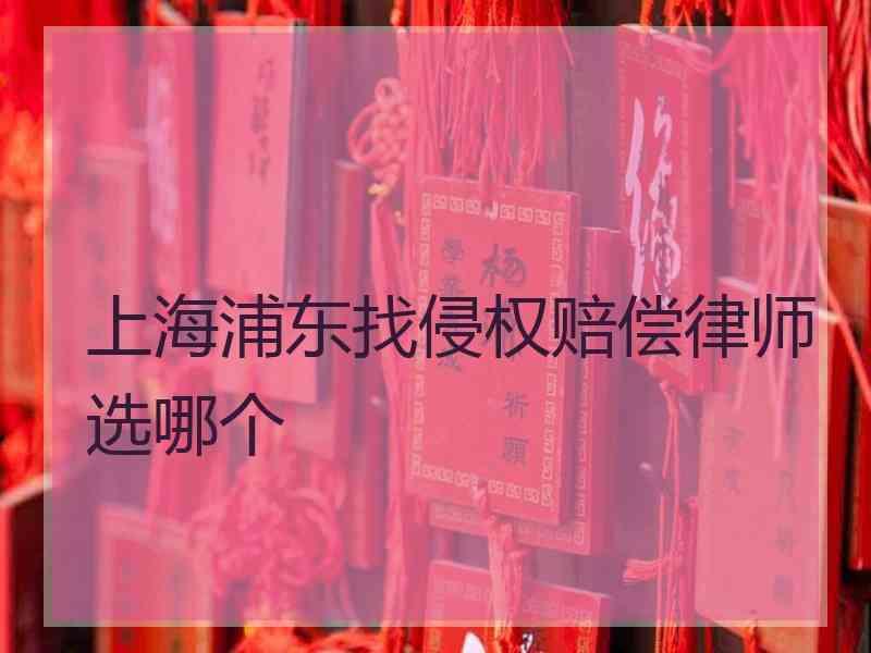 上海浦东找侵权赔偿律师选哪个