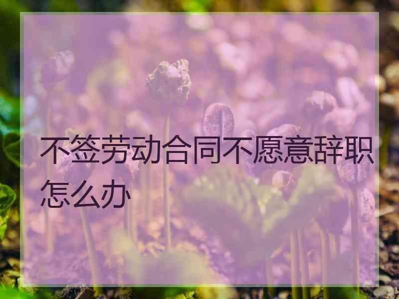 不签劳动合同不愿意辞职怎么办