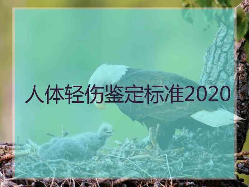 人体轻伤鉴定标准2020