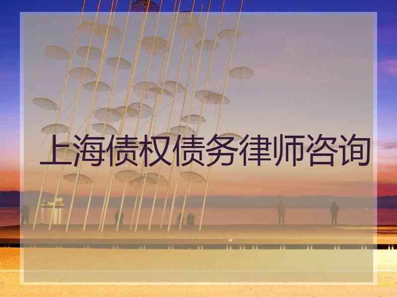 上海债权债务律师咨询