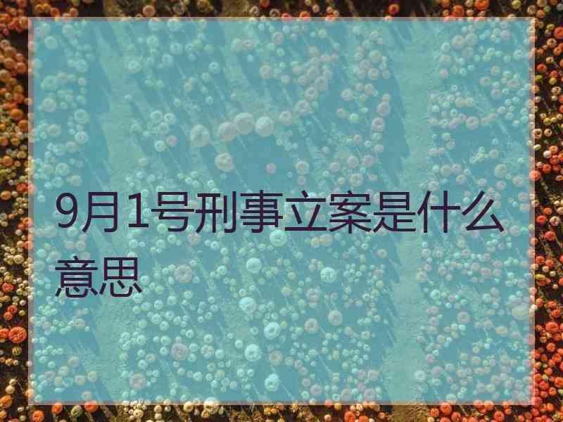 9月1号刑事立案是什么意思