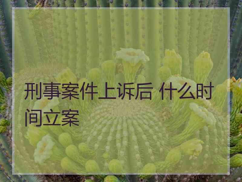 刑事案件上诉后 什么时间立案