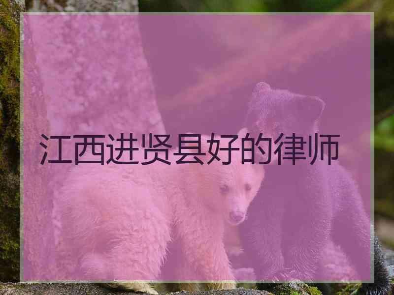 江西进贤县好的律师