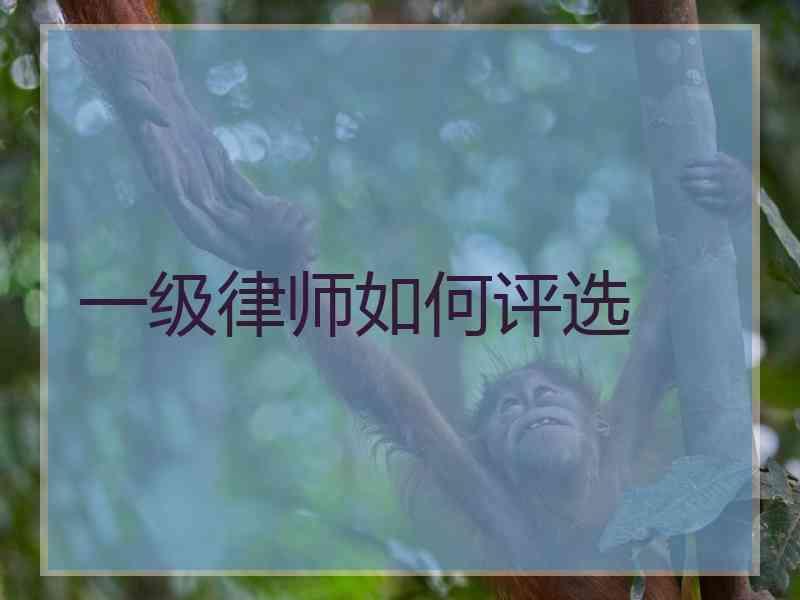 一级律师如何评选