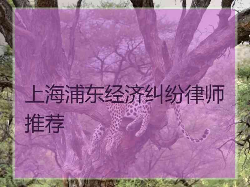 上海浦东经济纠纷律师推荐