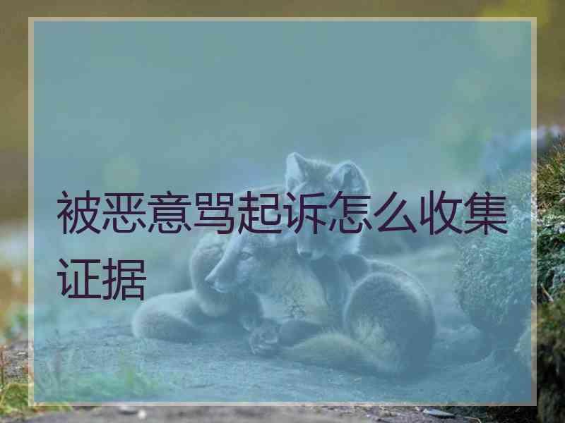 被恶意骂起诉怎么收集证据