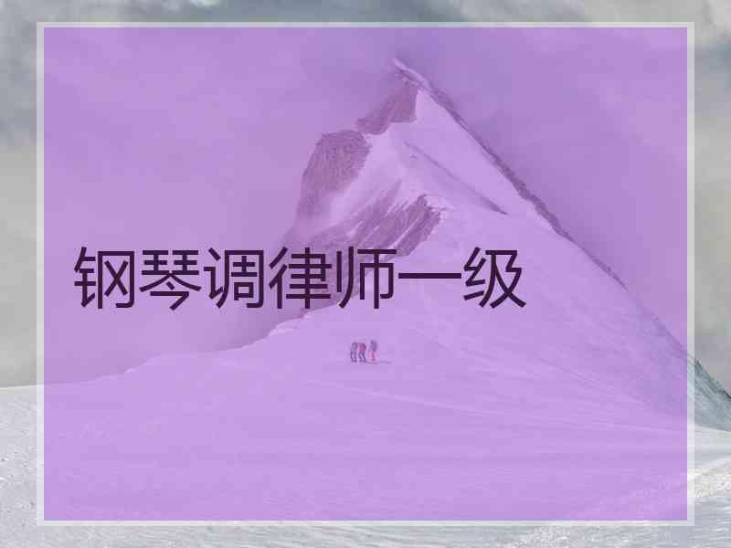 钢琴调律师一级