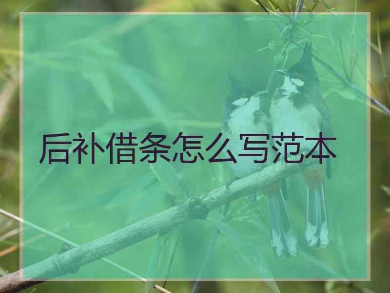 后补借条怎么写范本