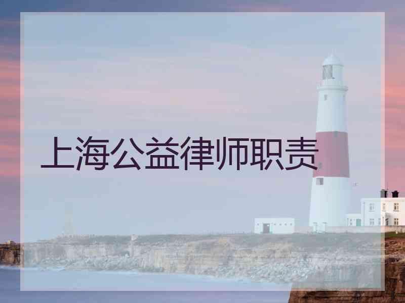 上海公益律师职责