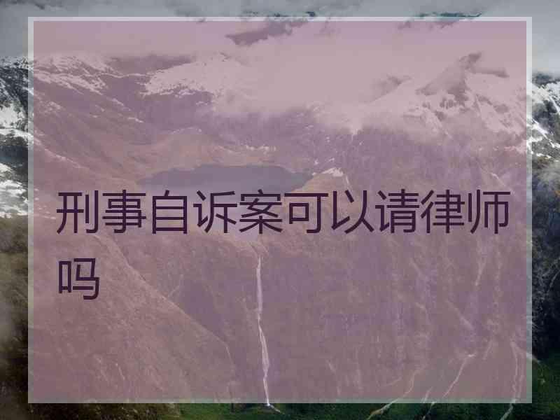 刑事自诉案可以请律师吗