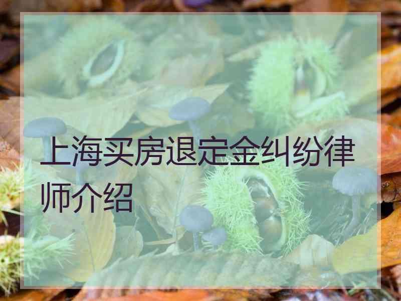 上海买房退定金纠纷律师介绍