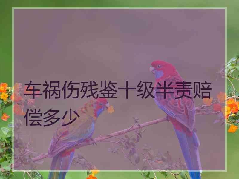 车祸伤残鉴十级半责赔偿多少