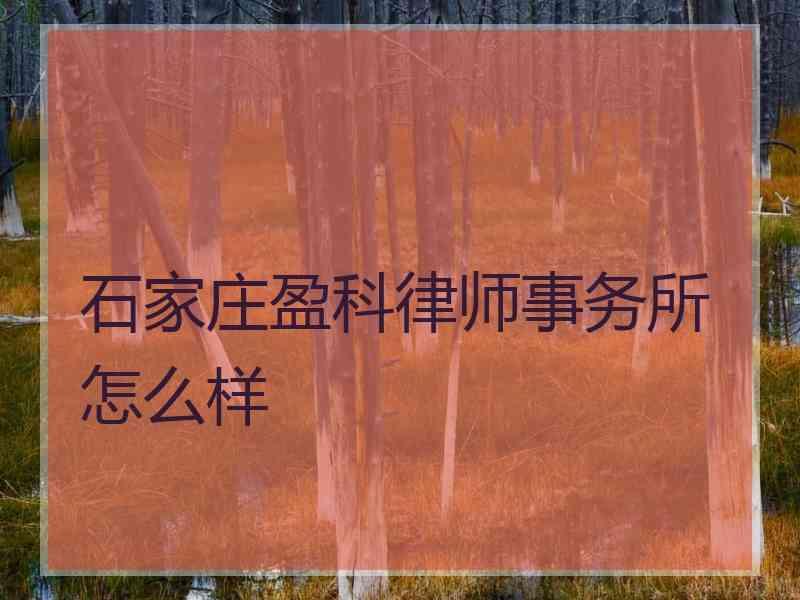 石家庄盈科律师事务所怎么样