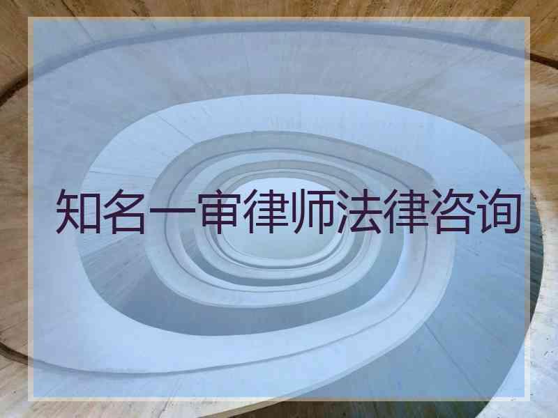 知名一审律师法律咨询