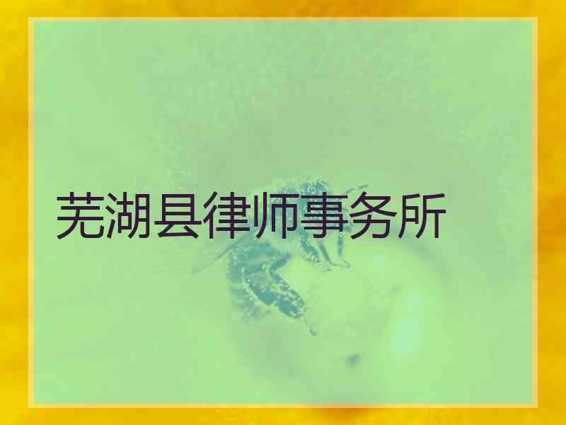 芜湖县律师事务所