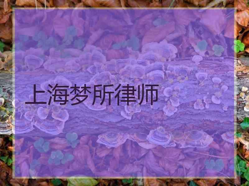 上海梦所律师