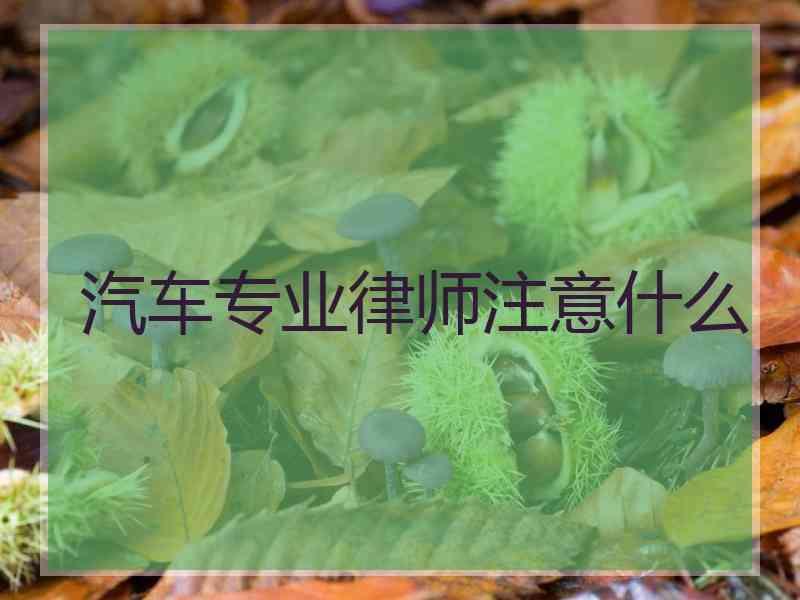 汽车专业律师注意什么