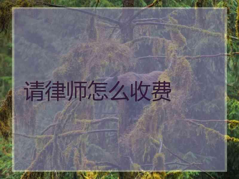 请律师怎么收费