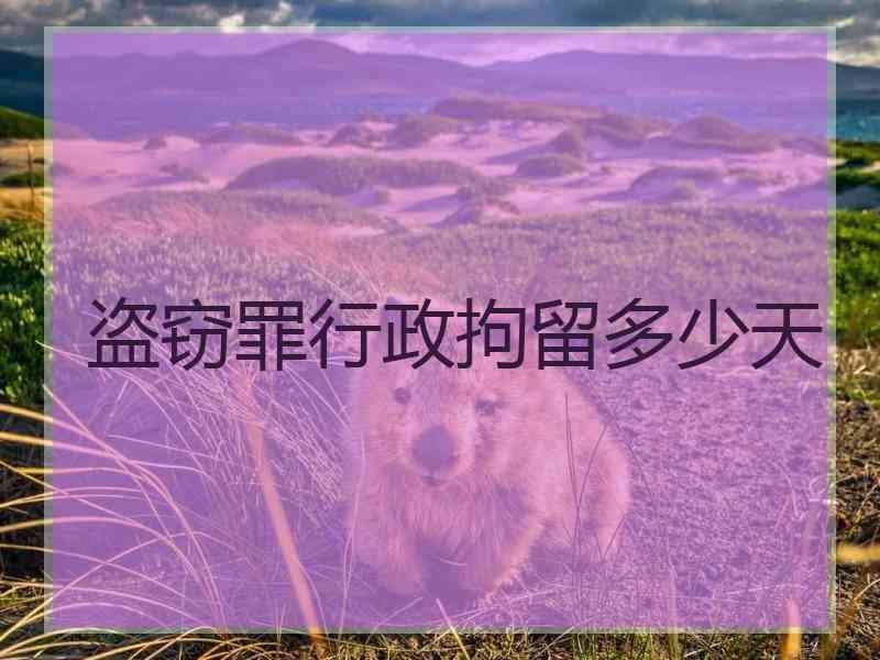 盗窃罪行政拘留多少天