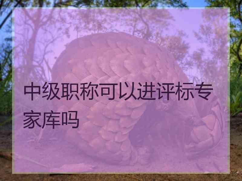 中级职称可以进评标专家库吗