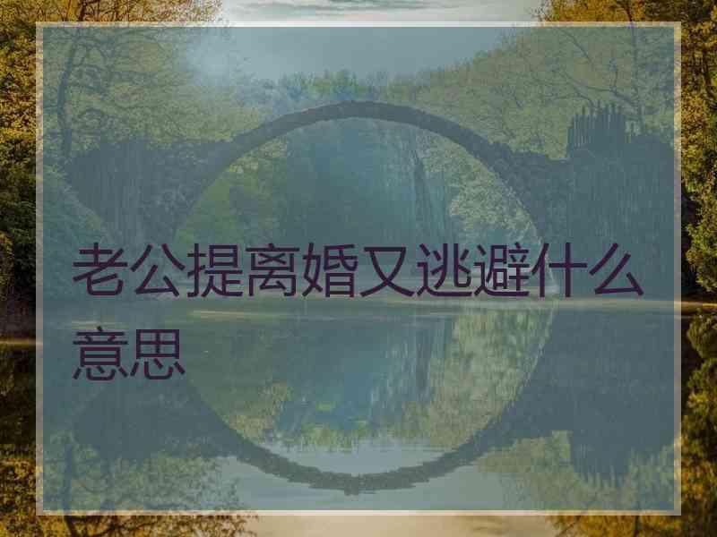 老公提离婚又逃避什么意思