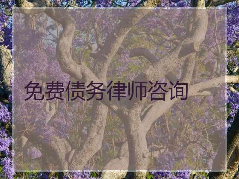 免费债务律师咨询
