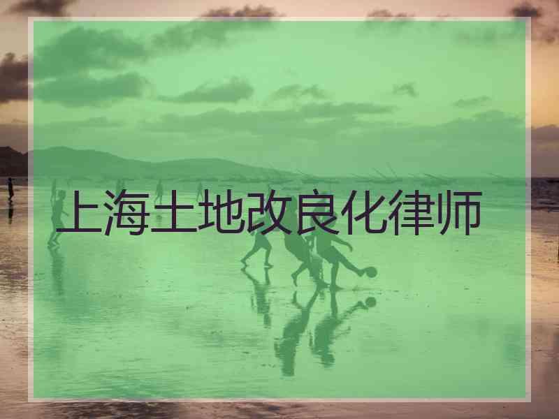 上海土地改良化律师