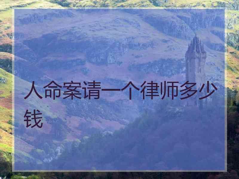 人命案请一个律师多少钱