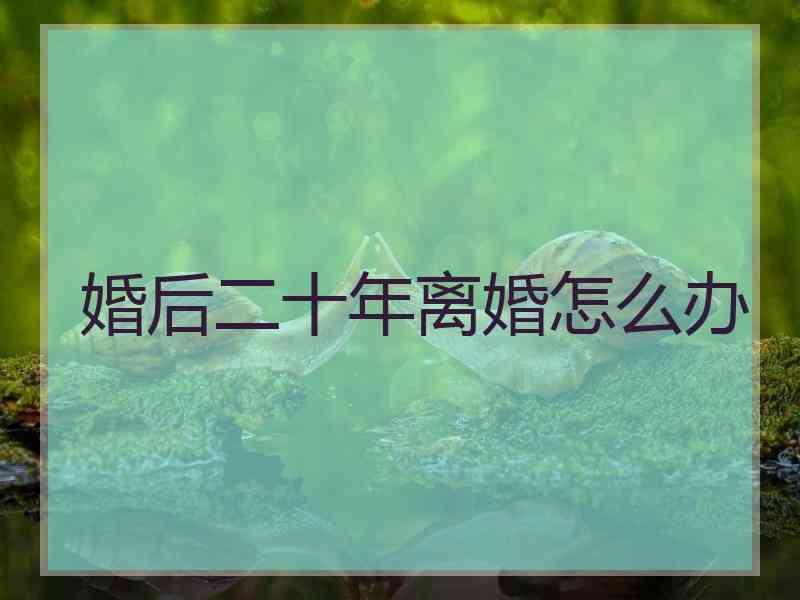 婚后二十年离婚怎么办