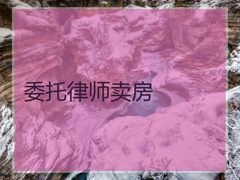 委托律师卖房