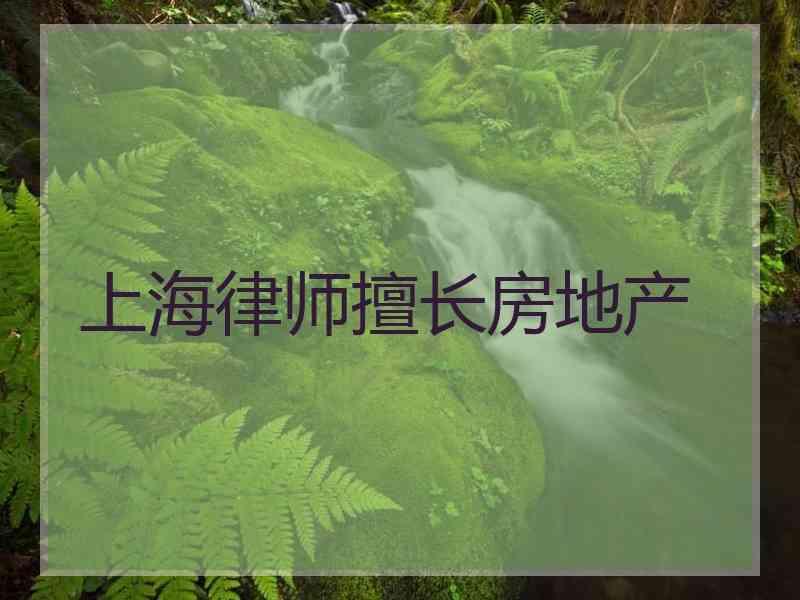 上海律师擅长房地产