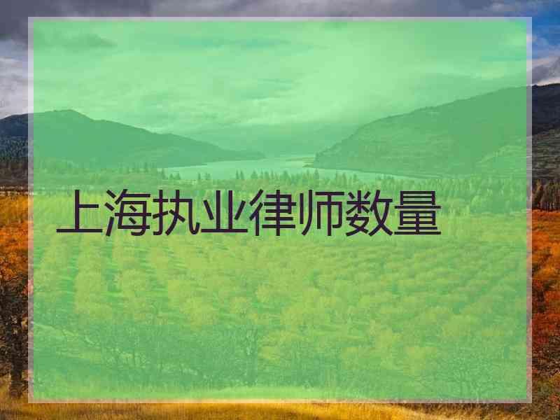 上海执业律师数量