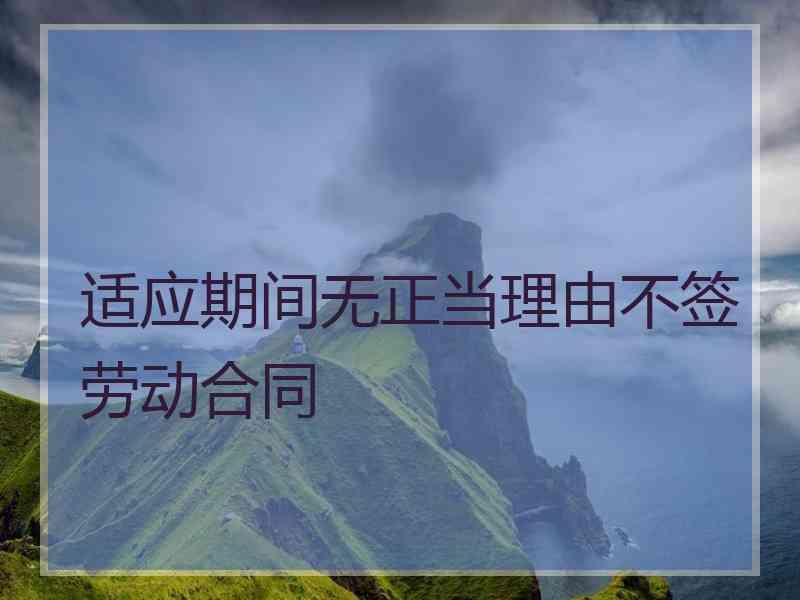 适应期间无正当理由不签劳动合同