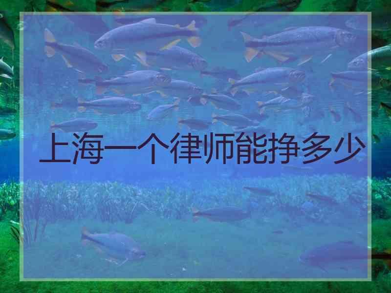 上海一个律师能挣多少