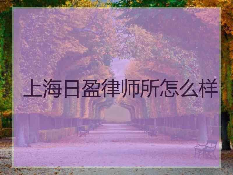 上海日盈律师所怎么样