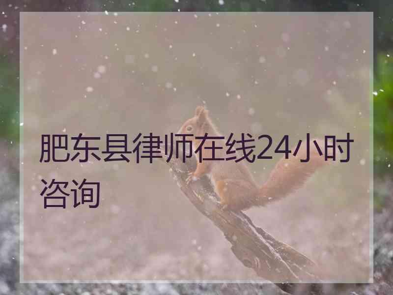 肥东县律师在线24小时咨询